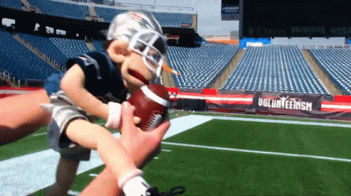 Puppet Holding Football in Front of Volunteerism Sign