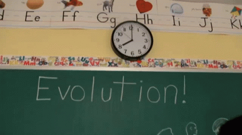 Puppet Lectures About Evolution GIF