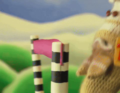 Puppet Sock Crossing Finish Line GIF