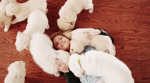 Puppies Party Cuddle Hug GIF