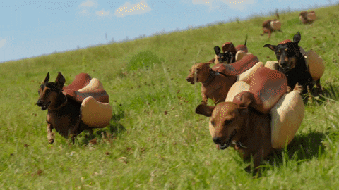 Puppies Running Hotdog Costume GIF