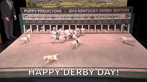 Puppies Running Race Happy Derby Day GIF