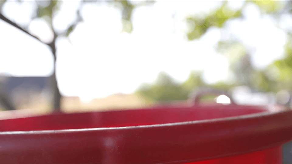 Puppies Surprise Slow Motion GIF