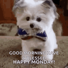 Puppy Bow Tie High Five Monday Good Morning GIF