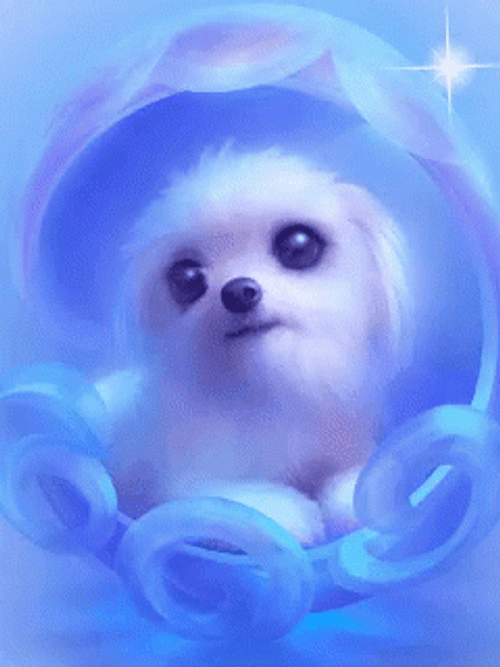 Puppy Cute Blue Shell GIF