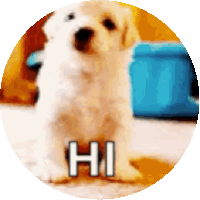 Puppy Dog Sticker GIF