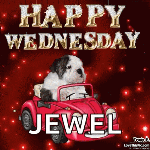 Puppy Driving Red Car Happy Wednesday Jewel