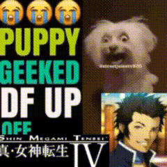 Puppy Geeked Df Up Off GIF