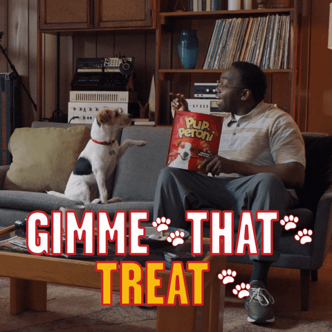 Puppy Gimme That Treat GIF