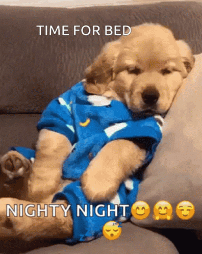 Puppy in Pajamas Laying on Couch Saying Time for Bed Nighty Night