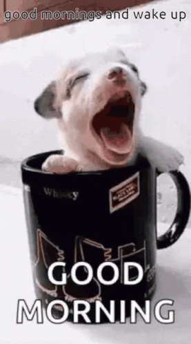 Puppy Inside Mug Yawning Good Morning Team GIF