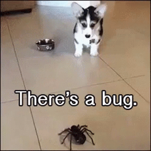 Puppy Is Afraid Of Scary Spider GIF