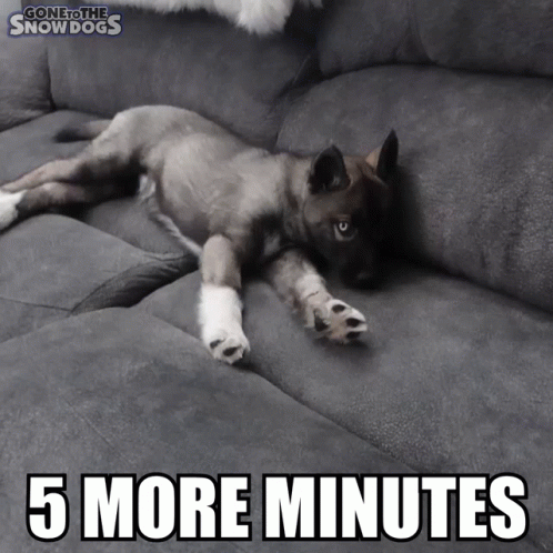 Puppy Laying On Couch Saying 5 More Minutes GIF