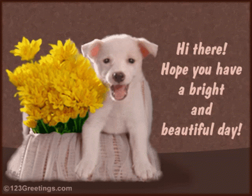 Puppy Next To Yellow Flowers Says Hi GIF