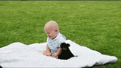 Puppy Plays With Nepo Baby GIF