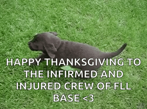 Puppy Running Happy Thanksgiving To FLL Base Crew GIF