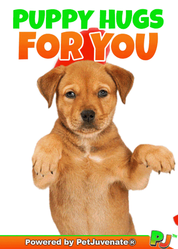 Puppy Saying Puppy Hugs For You