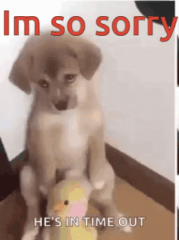 Puppy Sitting on Stuffed Animal Sorry in Time Out