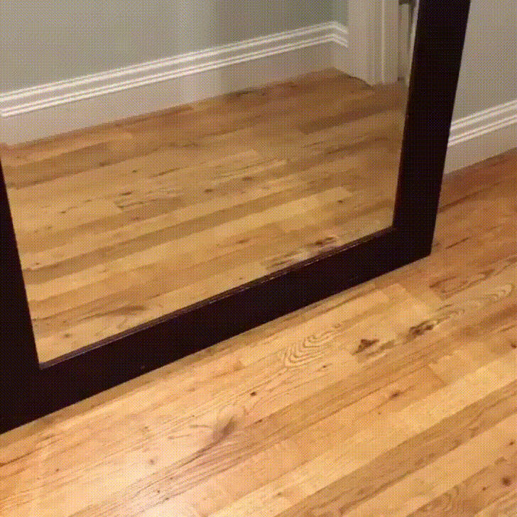 Puppy Startled With His Own Reflection GIF