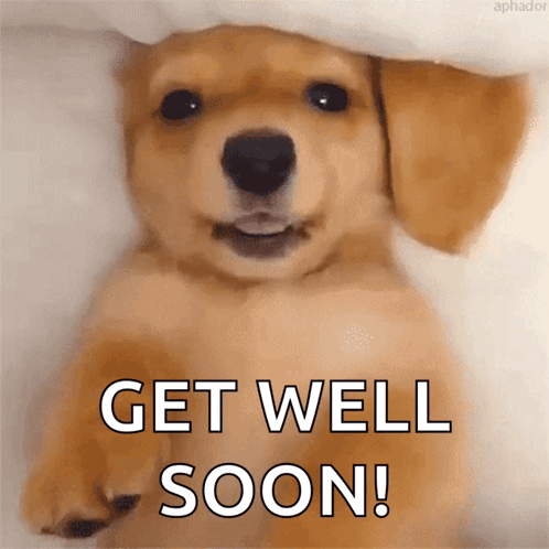 Puppy Under Blanket Get Well Soon