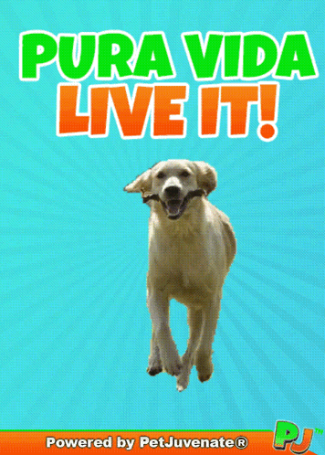 Pura Vida Live It Poster With Dog