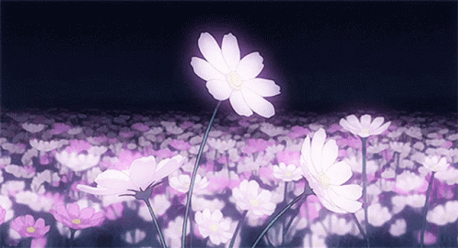 Purple Aesthetic Anime Field Flowers GIF