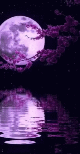 Purple Aesthetic Night Moon Under The Water GIF