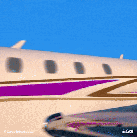 Purple and Gold Airplane Love Island AU