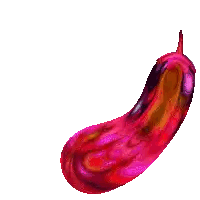 Purple and Orange Eggplant with Brown Stem