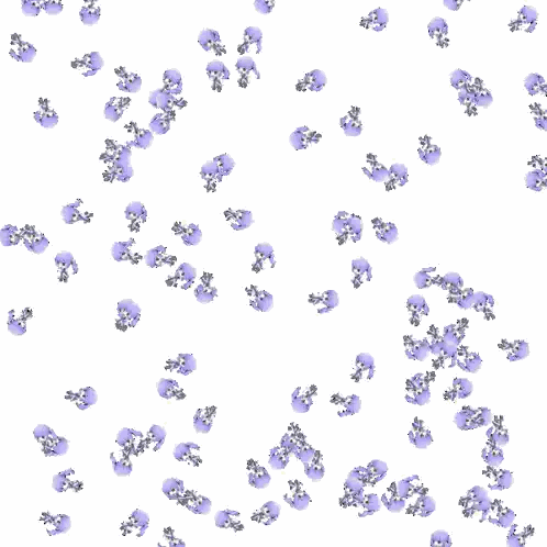 Purple and Silver Flower Pattern