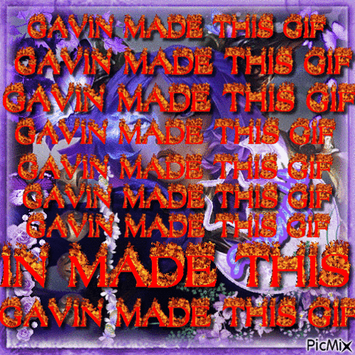 Purple Background Gavin Made This GIF
