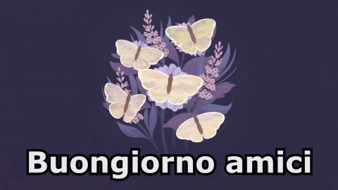 Purple Background With Butterflies Buongiorno Amici