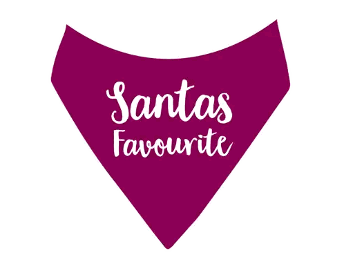 Purple Bandana Says Santas Favourite