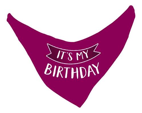 Purple Birthday Bandana