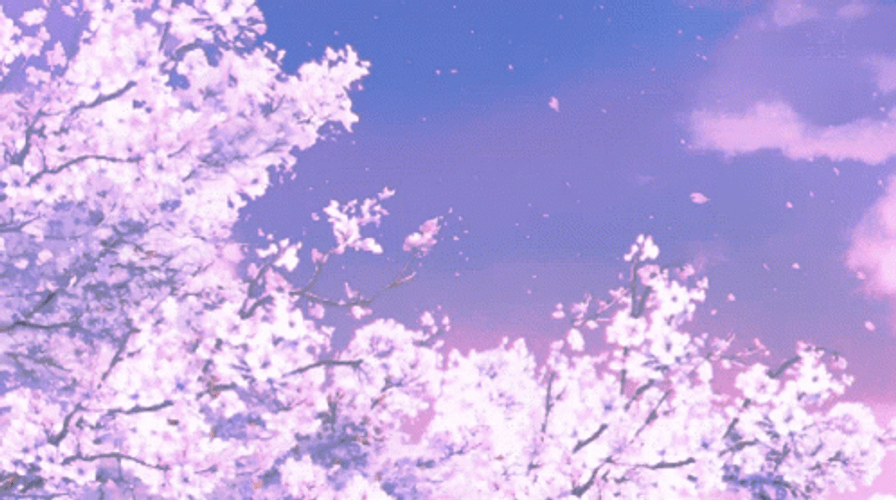 Purple Blossom Tree Anime GIF