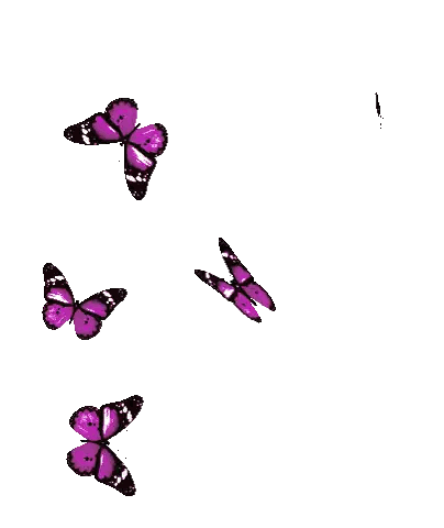 Purple Butterflies Flying in Circle