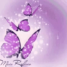 Purple Butterflies On A Purple Background With Maia Rebecca GIF