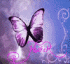 Purple Butterfly Angel Animation GIF