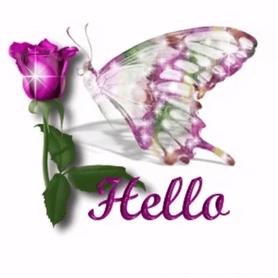 Purple Butterfly Flying Next To Purple Rose Hello GIF