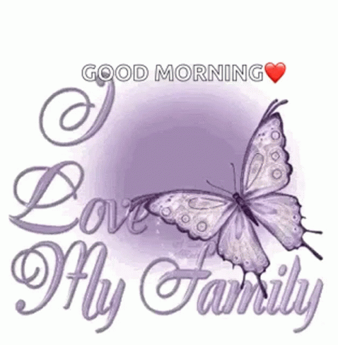 Purple Butterfly Good Morning Family GIF
