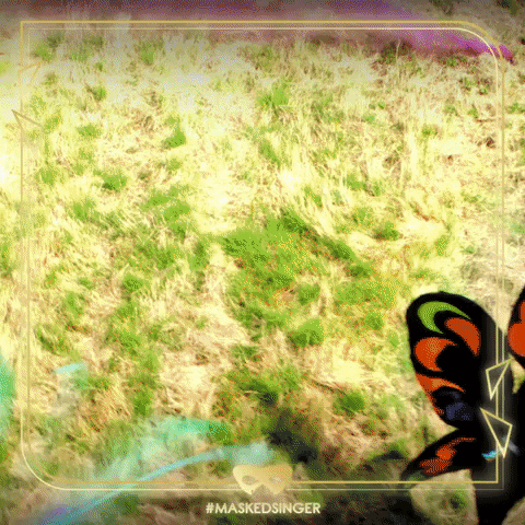 Purple Butterfly Masked Singer Uk GIF