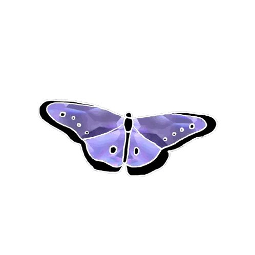 Purple Butterfly with Black Wings and White Spots