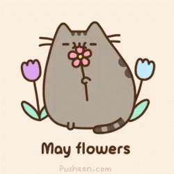 Purple Cat Holding Flower And Saying May Flowers GIF