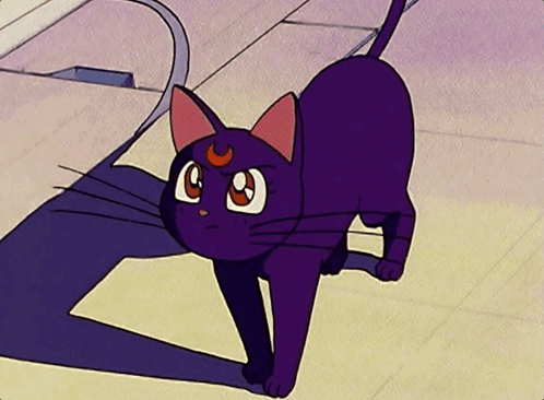 Purple Cat With Crescent Moon Looking At Camera GIF