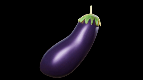 Purple Eggplant with Yellow Stem