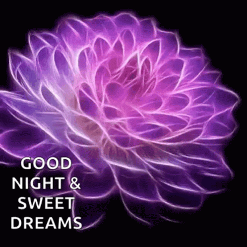 Purple Flower Good Night & Sweet Dreams