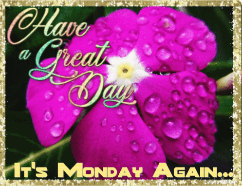 Purple Flower Have A Great Day It's Monday Again GIF