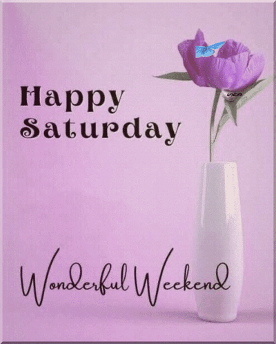 Purple Flower in Vase Happy Saturday Wonderful Weekend
