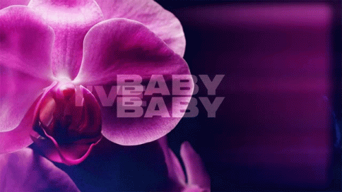 Purple Flower Nv Baby Baby