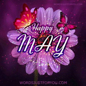 Purple Flower With Butterflies Happy May GIF